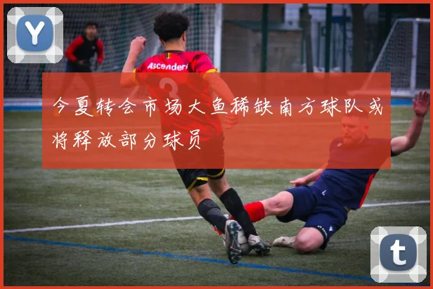 今夏转会市场大鱼稀缺南方球队或将释放部分球员