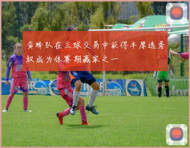 黄蜂队在三球交易中获得丰厚选秀权成为休赛期赢家之一