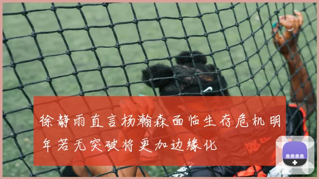 徐静雨直言杨瀚森面临生存危机明年若无突破将更加边缘化