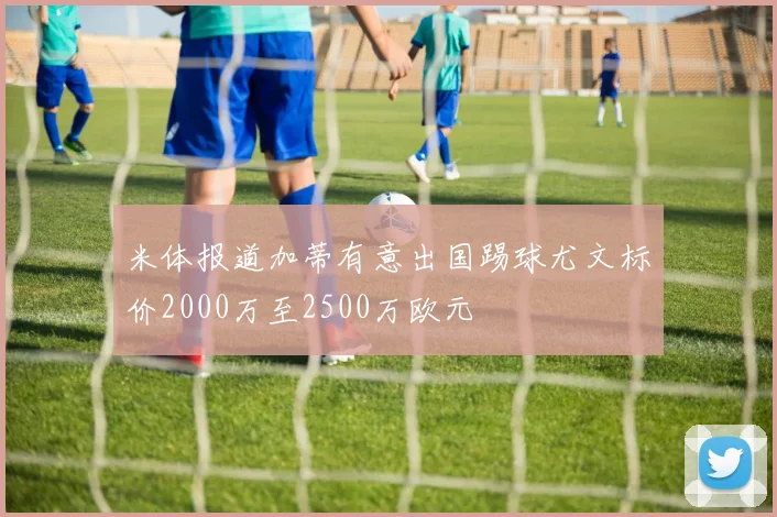 米体报道加蒂有意出国踢球尤文标价2000万至2500万欧元