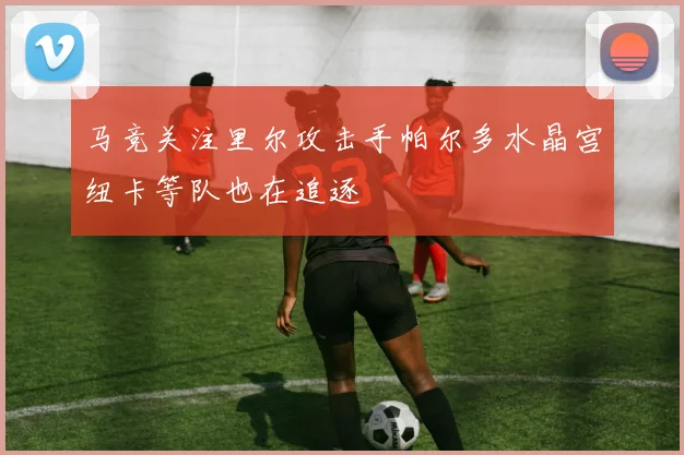 马竞关注里尔攻击手帕尔多水晶宫纽卡等队也在追逐