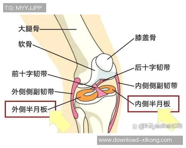 小卡34岁迎生涯首个50分表现ACL部分撕裂与半月板损伤影响膝盖健康